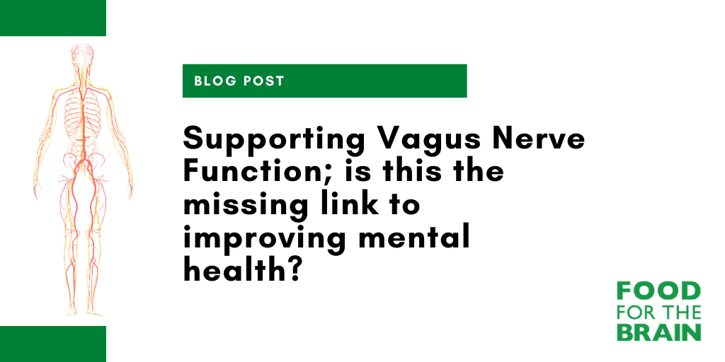 Everything You Need to Know About the Vagus Nerve - Living Life