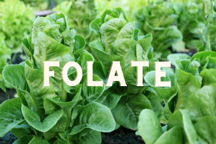 Folate