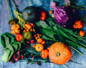 Healthy School Dinners