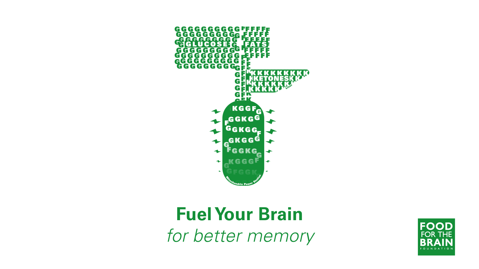 Fuel your Brain for Better Memory