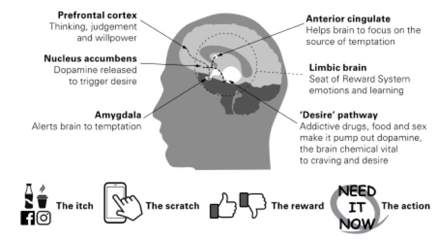 How Cheap Dopamine Is Hijacking Our Brains