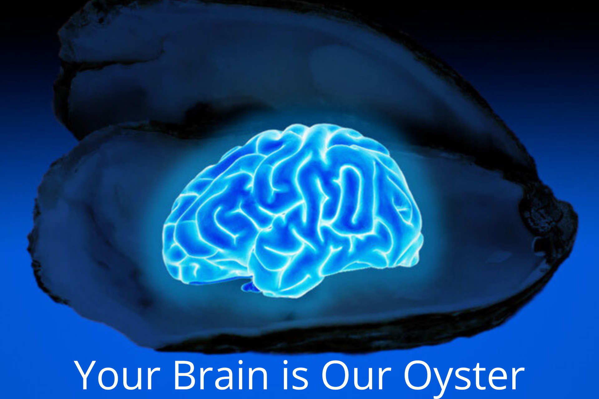 Your Brain is Our Oyster Food for the Brain Blog