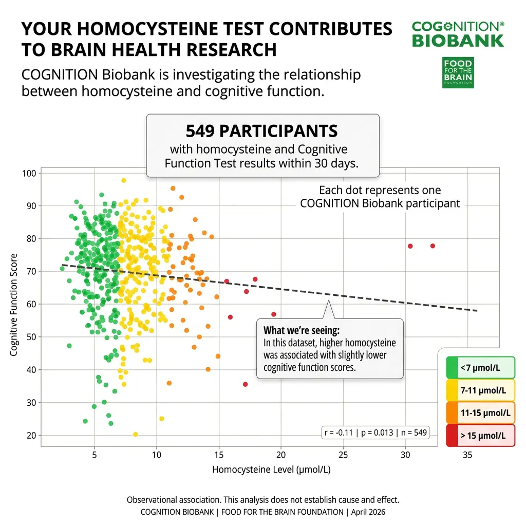 homocysteine-test-brain-health-research