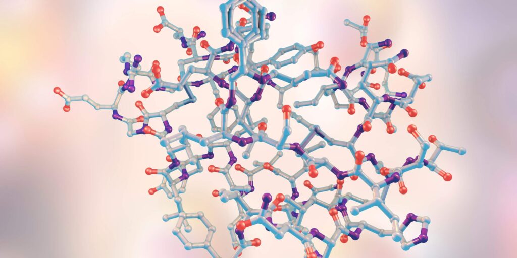 Insulin molecule. Computer model showing the structure of a molecule of the hormone insulin. Insulin plays a key role in blood sugar regulation, released from the pancreas when blood sugar levels rise, for example after a meal. Impaired insulin signalling is not only central to diabetes but is also linked to “Type 3 diabetes,” a term used to describe insulin resistance in the brain that contributes to Alzheimer’s disease and dementia.